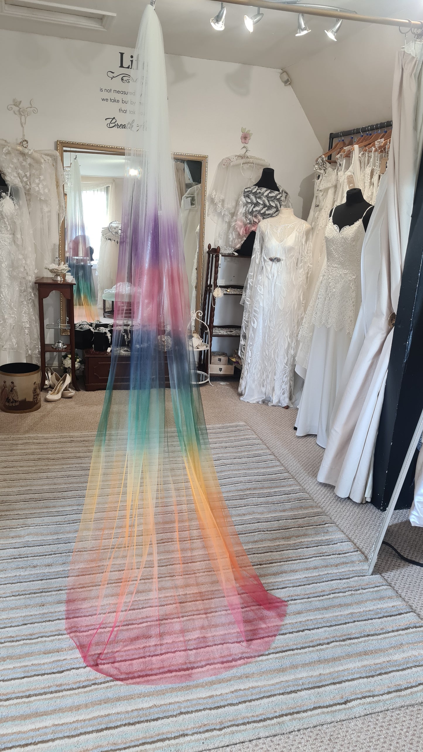 Ombre veil - choice of colours 250cm