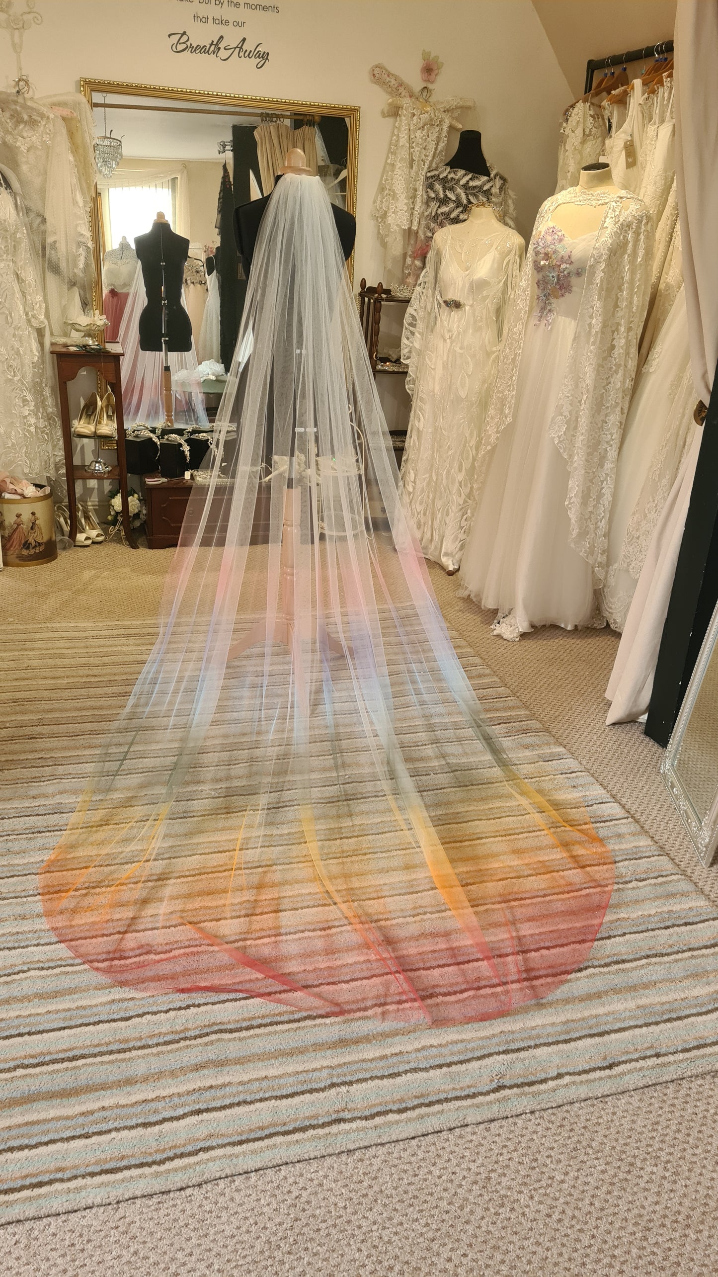 Ombre veil - choice of colours 250cm