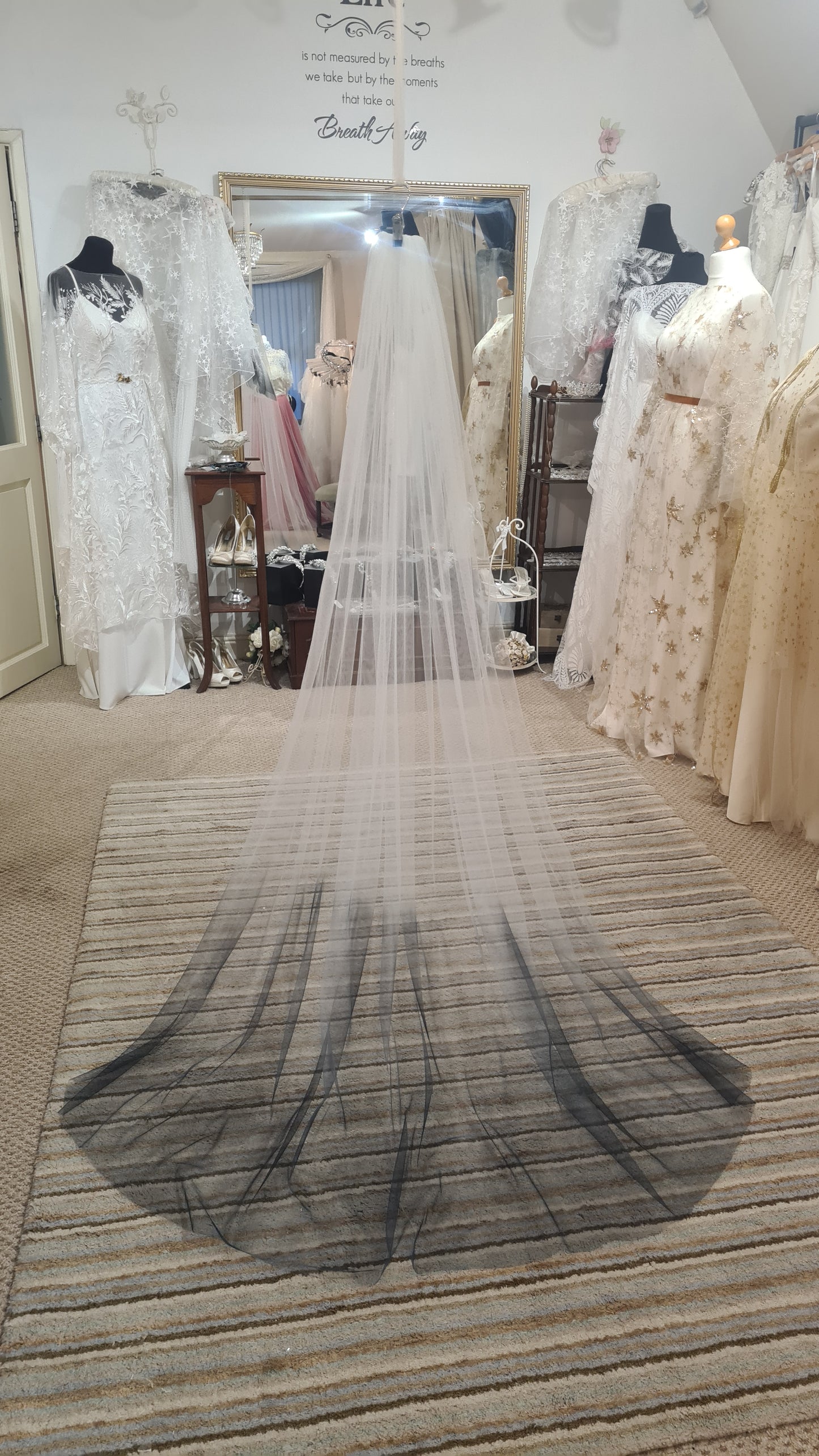 Ombre veil - choice of colours 250cm