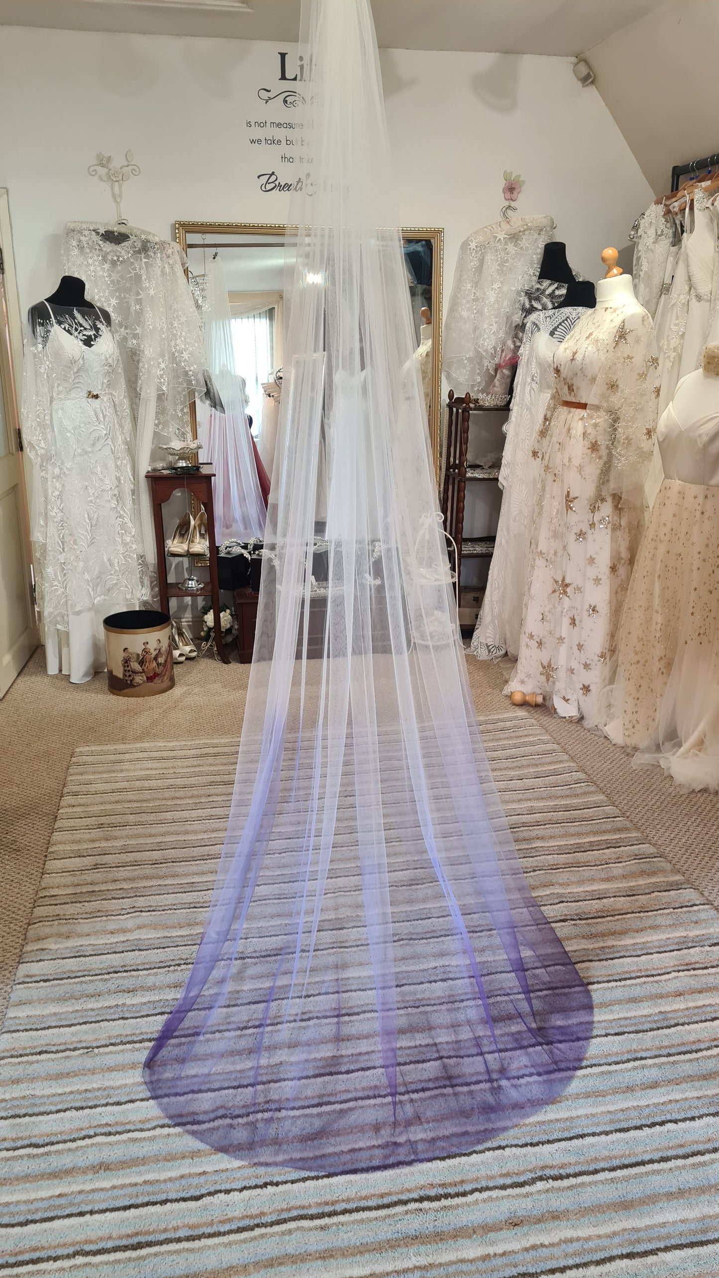 Ombre veil - choice of colours 250cm