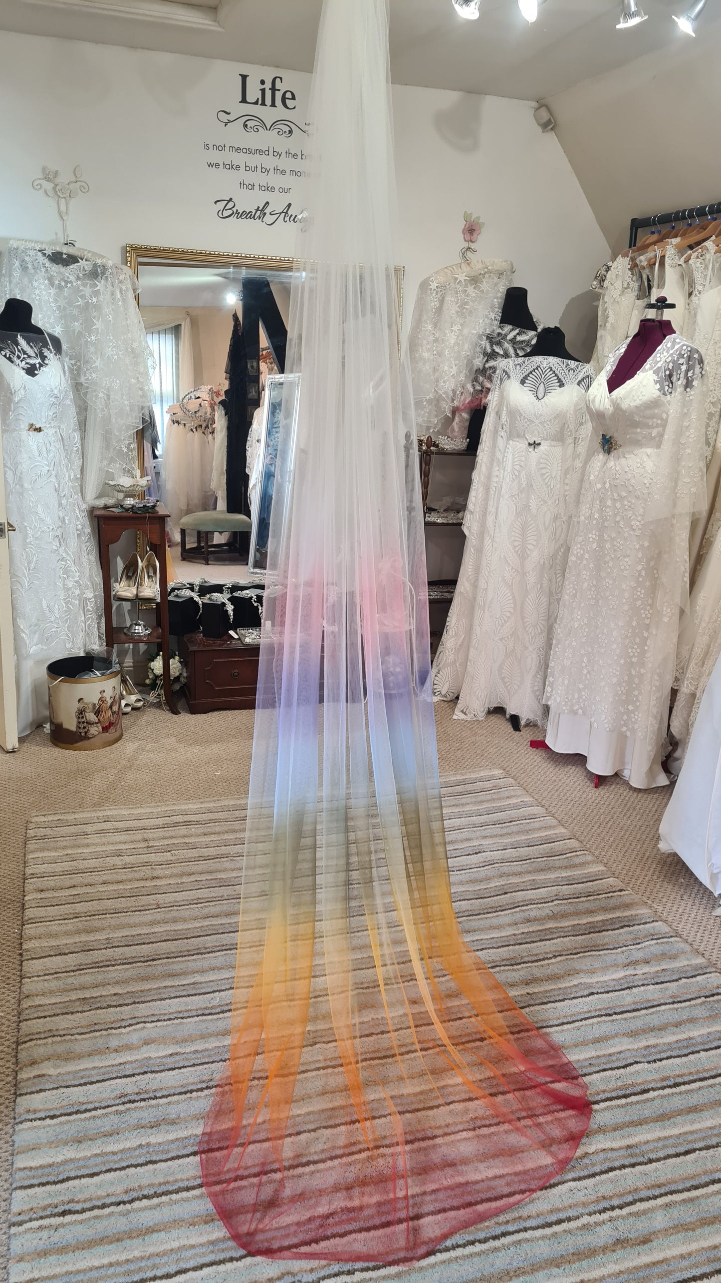 Ombre veil - choice of colours 300cm