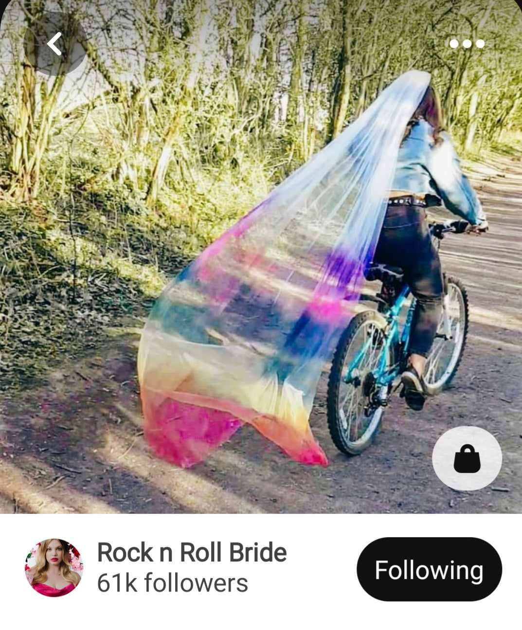 Ombre wedding veil - rainbow 250cm