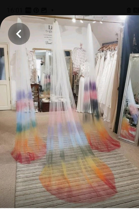 Ombre veil - choice of colours 300cm